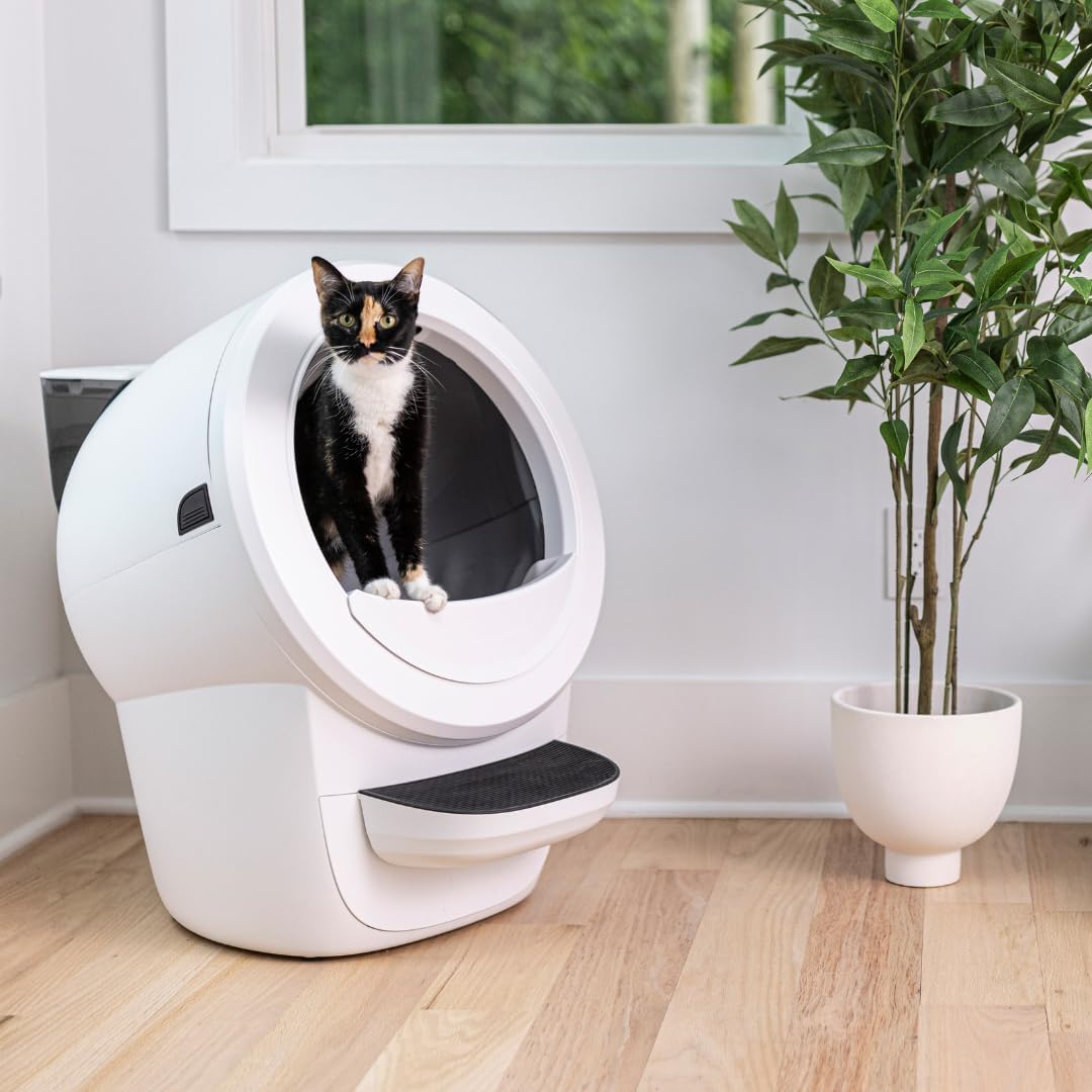 Litter-Robot 4 with Step & Fence (White) - Automatic, Self-Cleaning Cat Litter Box, WiFi Enabled, Works with Any Clumping Litter, Complimentary 2-Year WhiskerCare Warranty