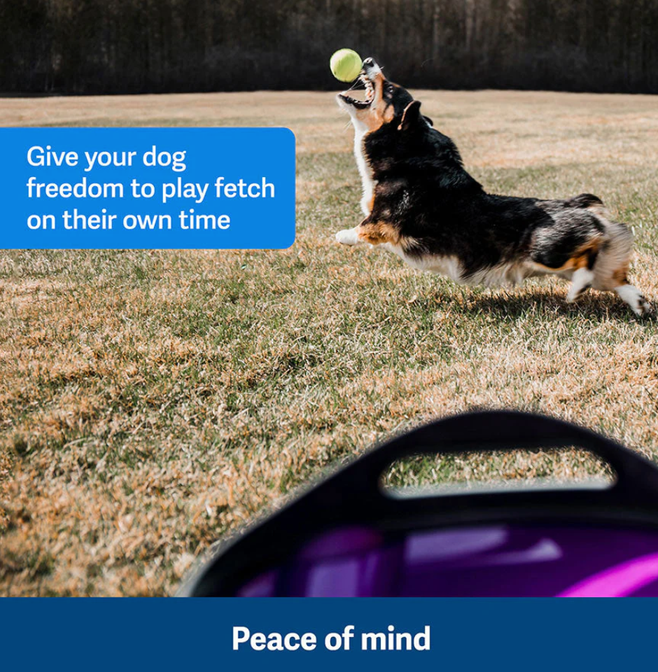 PetSafe Automatic Ball Launcher – Interactive Dog Toy for Endless Fun