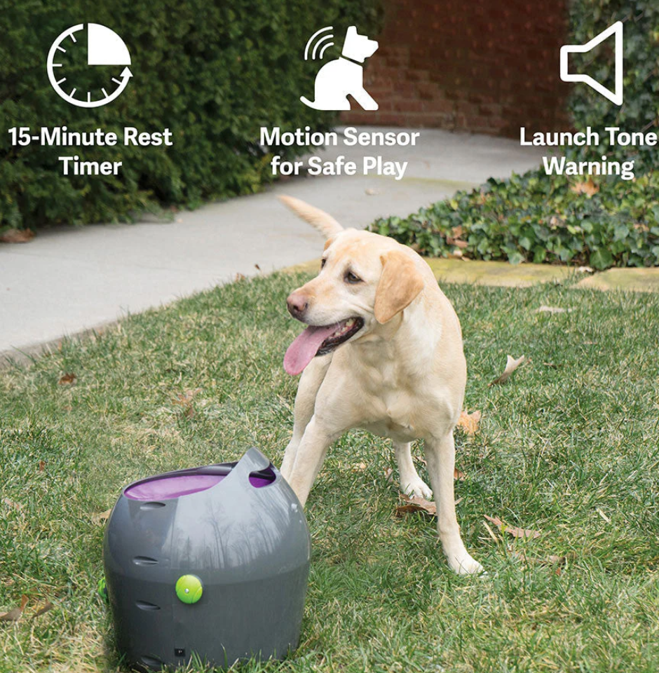 PetSafe Automatic Ball Launcher – Interactive Dog Toy for Endless Fun