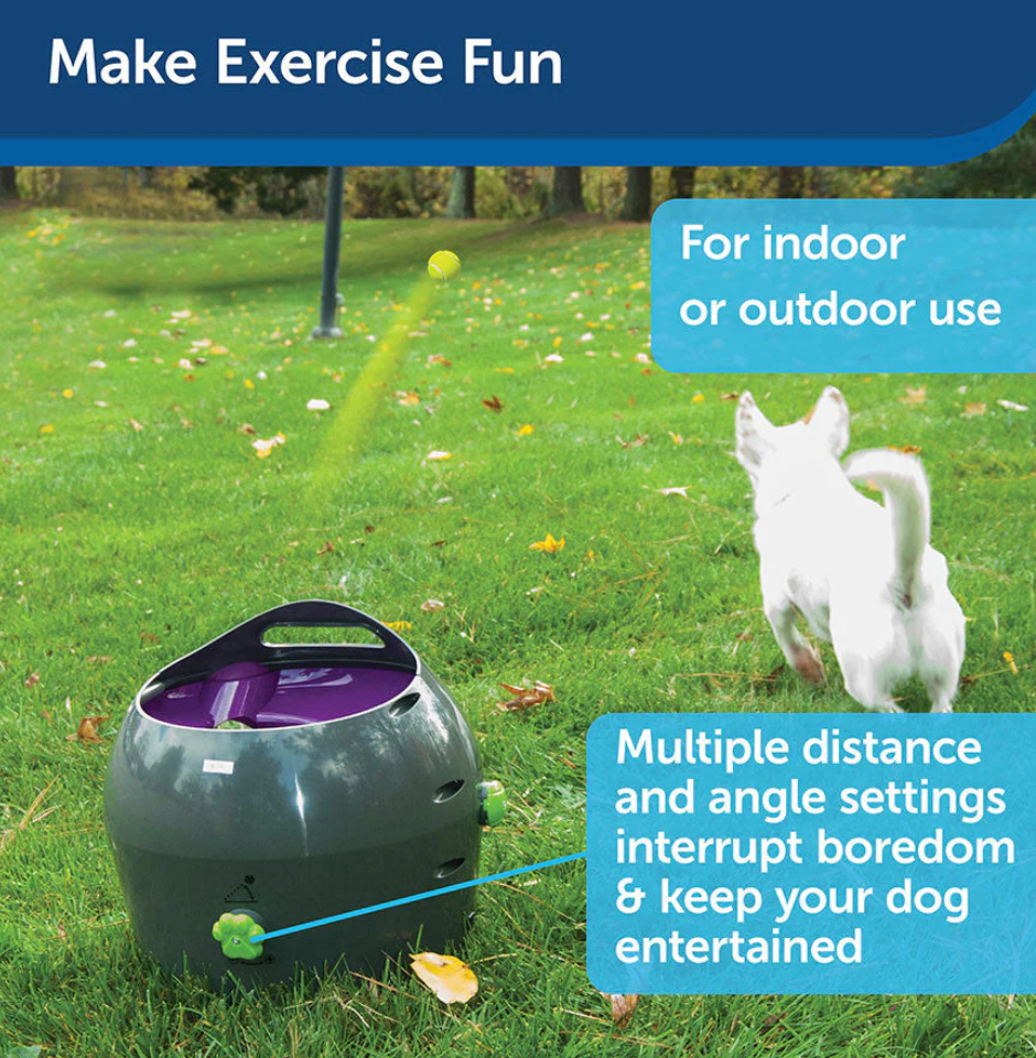 PetSafe Automatic Ball Launcher – Interactive Dog Toy for Endless Fun